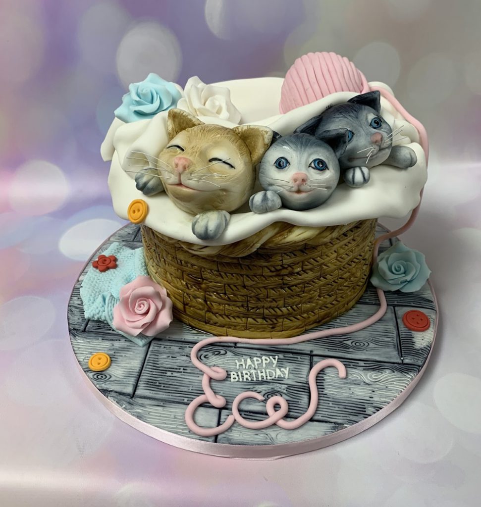 cat basket toy